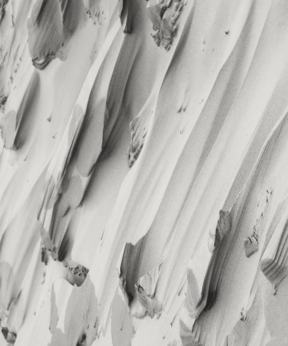 Soft sculpted texture in muted tones